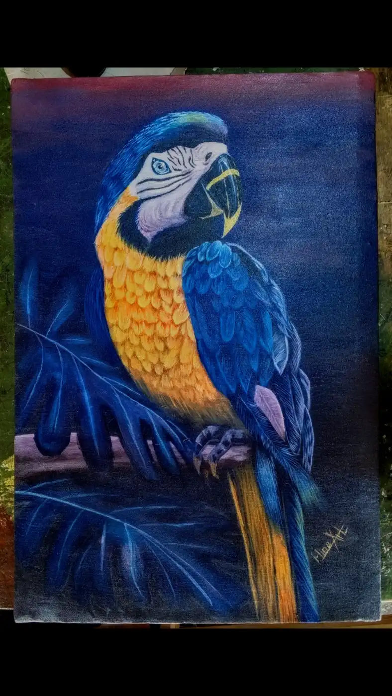 Midnight Blue Parrot