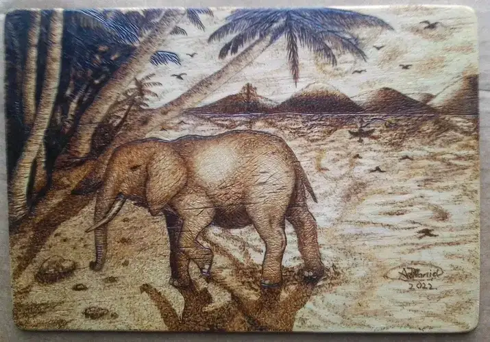Elephant on the Savannah
