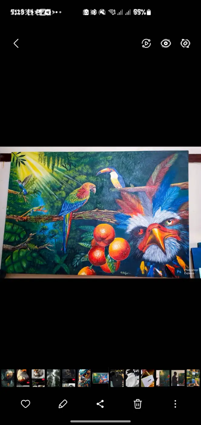 Tropical Bird Paradise