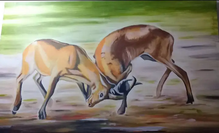Wild Confrontation