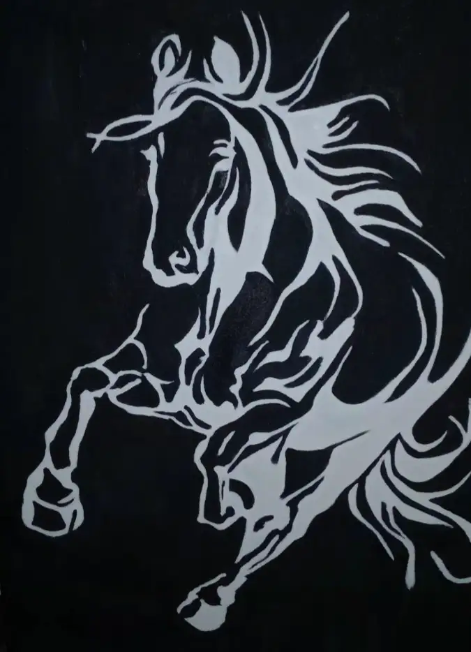 Midnight Stallion