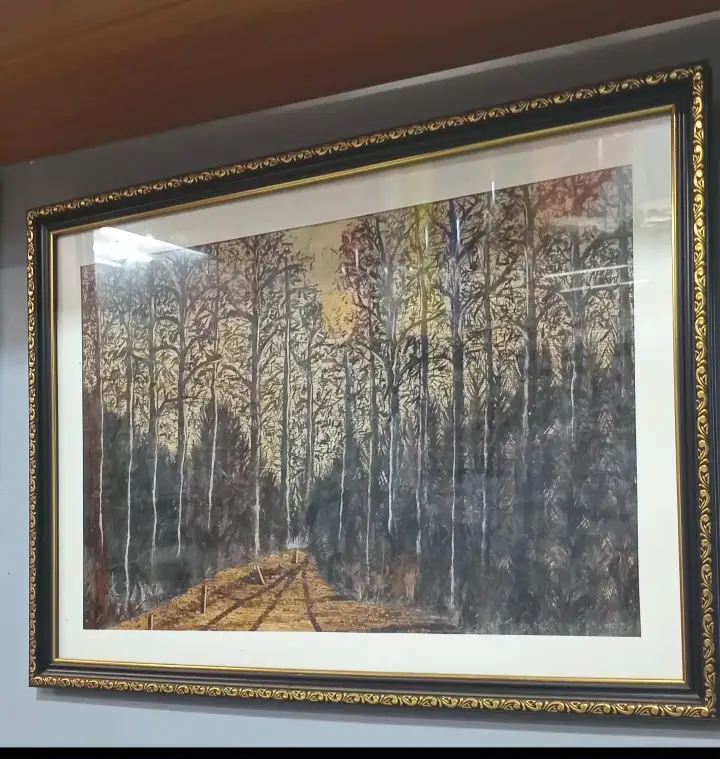 Forest Landscape