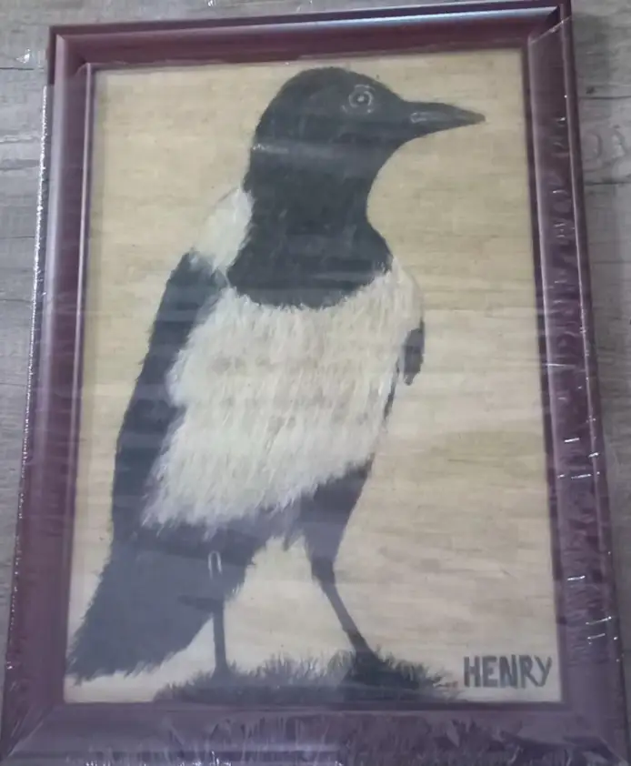 Majestic Magpie Portrait