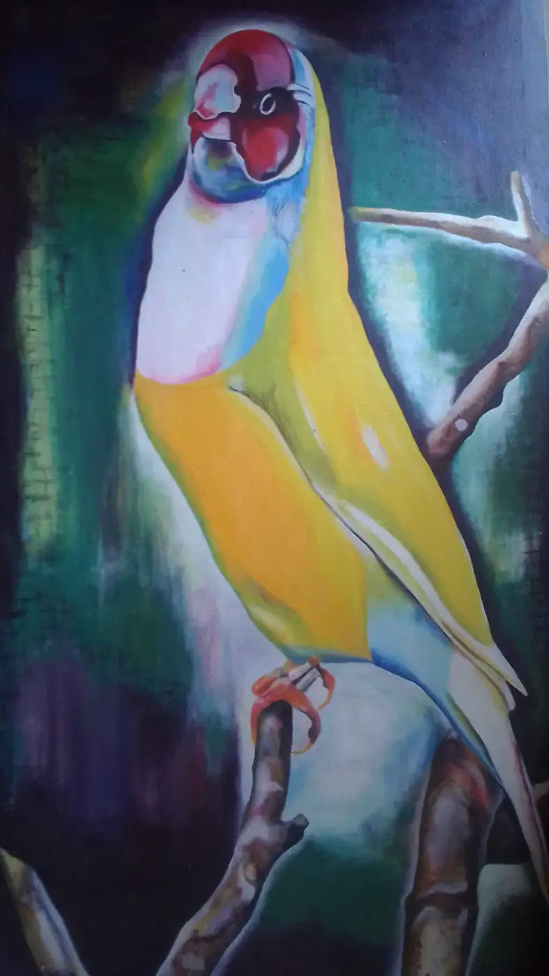 Vibrant Parrot Portrait