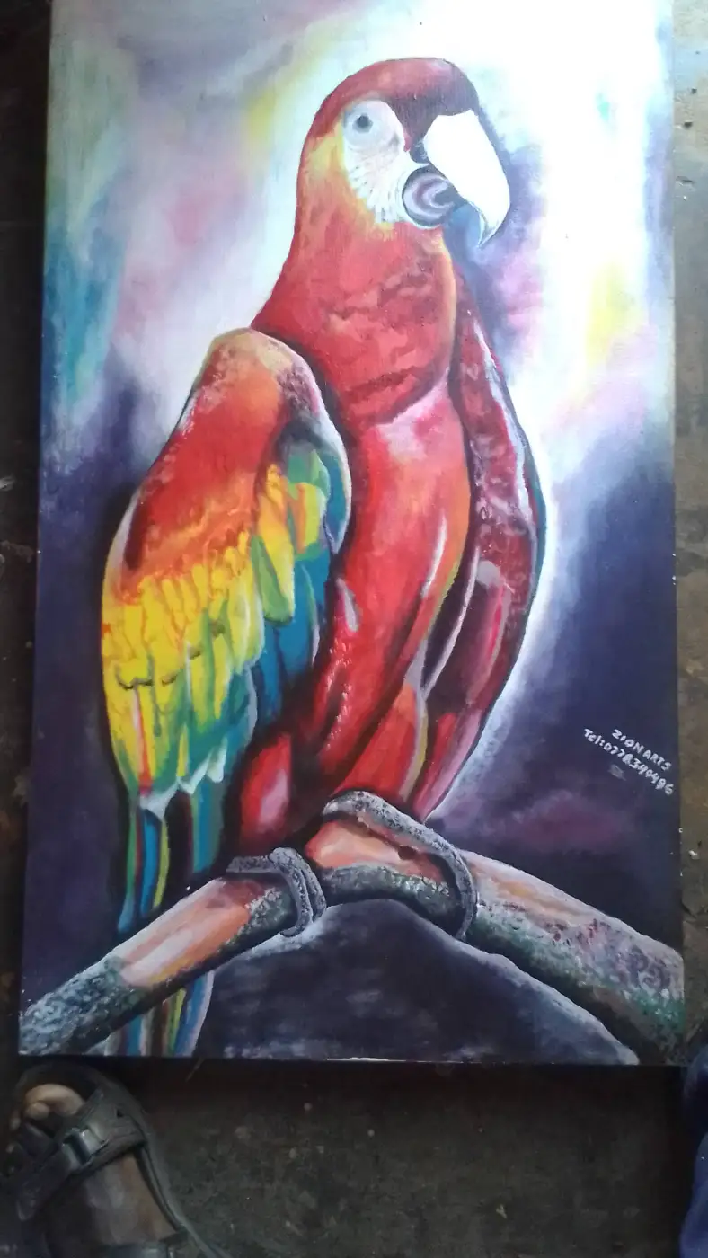 Vibrant Parrot Portrait