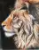 Majestic Lion's Gaze