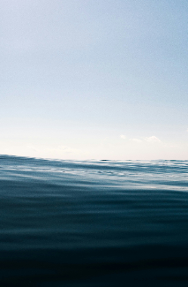 BRENZKafrica’s Serene Ocean Horizon