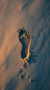 BRENZKafrica’s The FEET