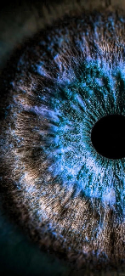 BRENZKafrica ‘ into the EYE