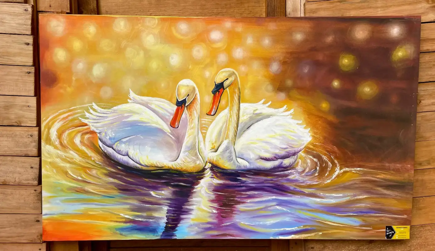 Swans in Harmony