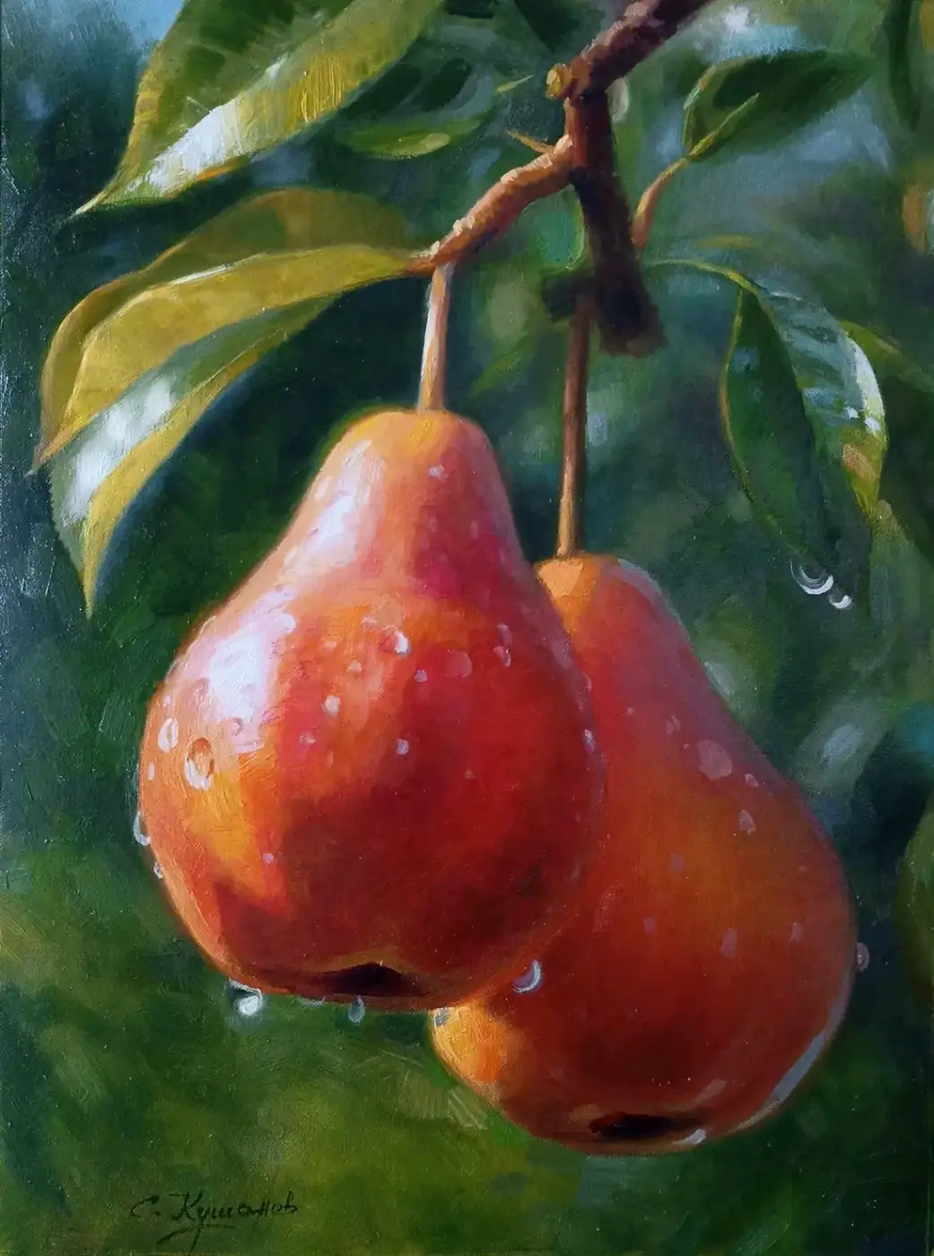 Dewy Pears