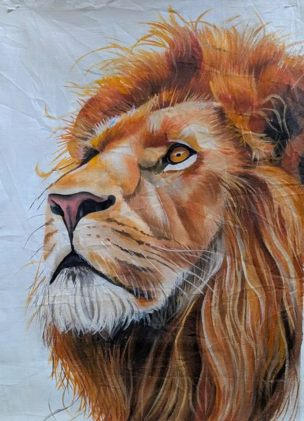 Majestic Lion's Gaze