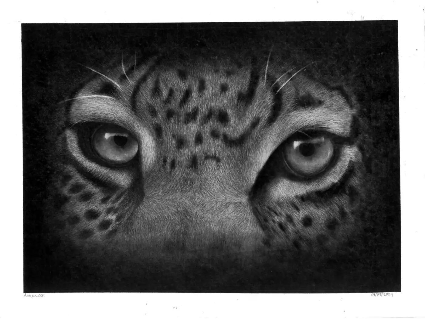 The Watchful Gaze