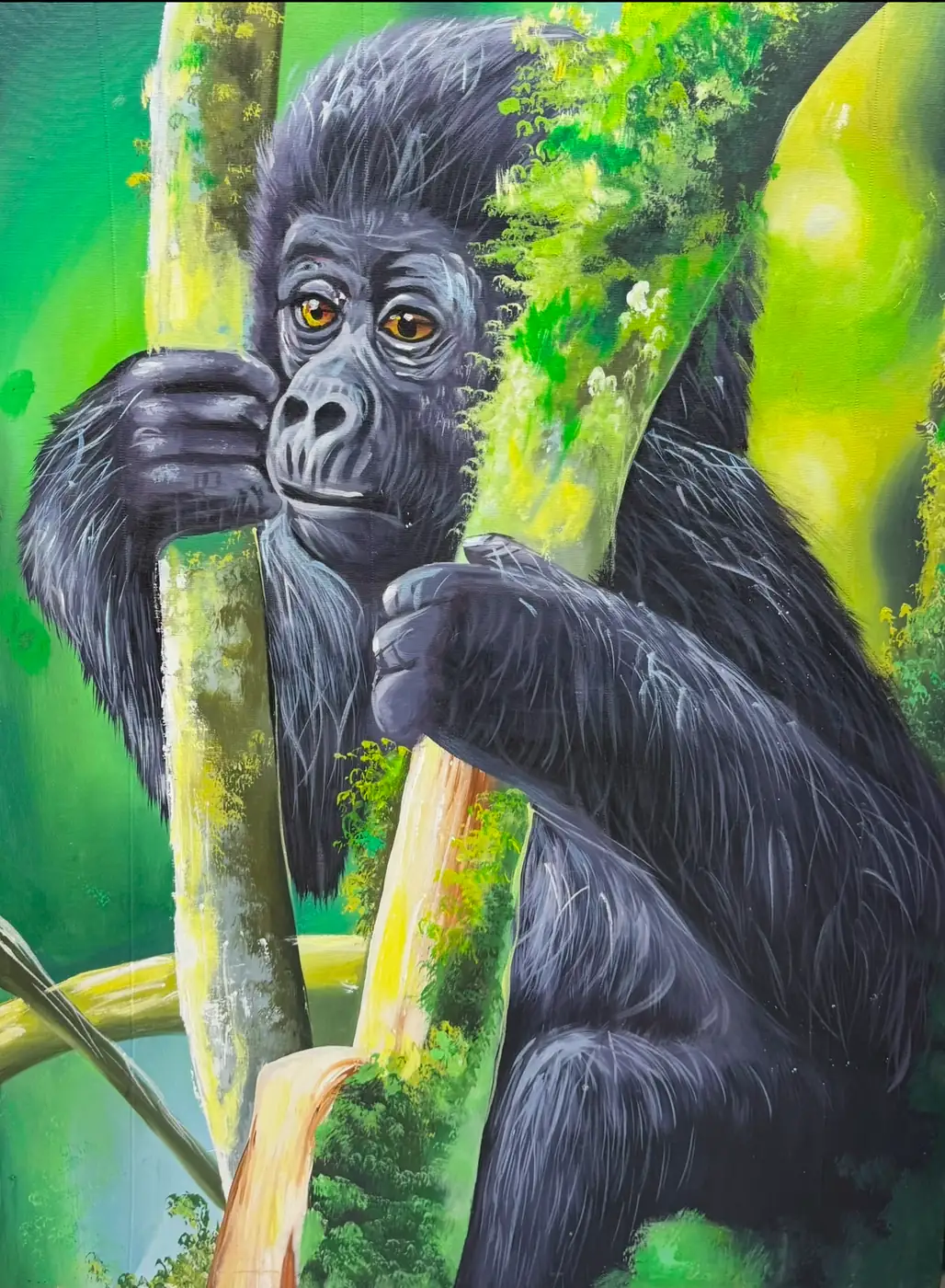 Baby gorilla