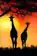 Savannah Silhouettes at Dusk