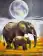 Moonlit Elephant Family