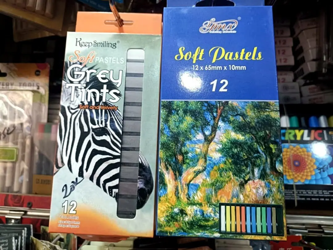Assorted Soft Pastels and Charcoal Sticks 2